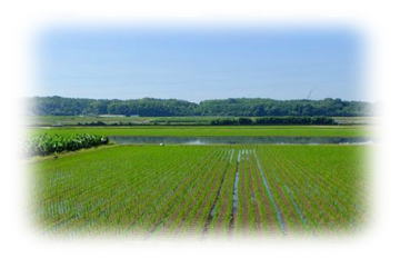 晴耕雨読｜年末年始